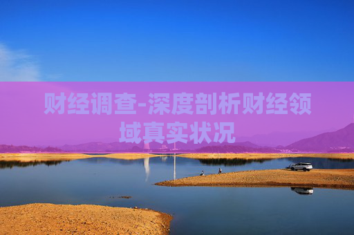 财经调查-深度剖析财经领域真实状况