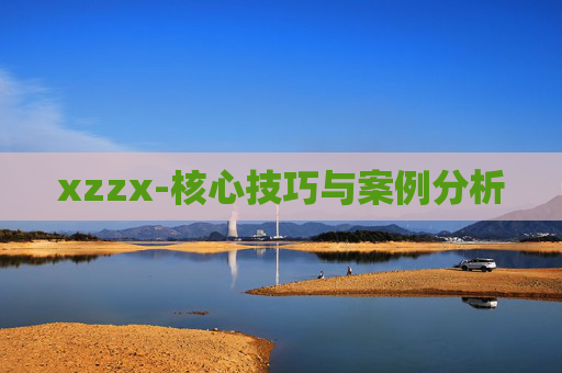 xzzx-核心技巧与案例分析