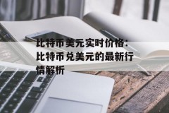 比特币美元实时价格：比特币兑美元的最新行情解析