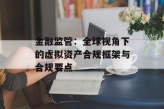 金融监管：全球视角下的虚拟资产合规框架与合规要点
